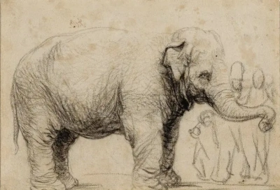 Un elefante Asiático