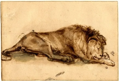 Un león dormido