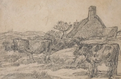 Vacas y granja