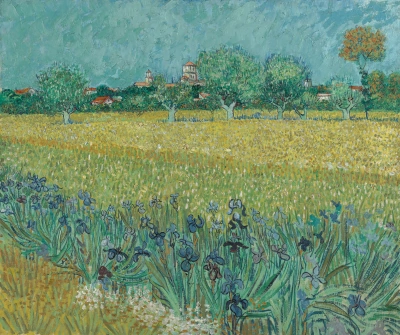 Vista de Arlés con lirios.