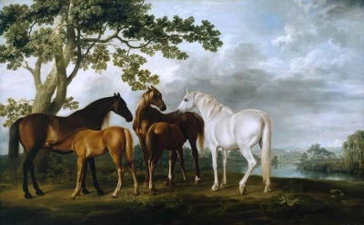 Yeguas y potros en el paisaje fluvial.